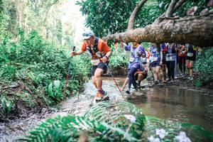 BIB: 
                            <button type="button" onclick="openModal(25476257)" class="btn btn-primary btn-sm float-right btn-popup" data-toggle="modal" data-target=".modal-high-quality">
                        <i class="fas fa-shopping-cart"></i> Add to Cart
                    </button>
                                            <button type="button" onclick="isThisMe(25476257, true)" class="btn btn-success btn-sm float-right btn-popup btn-isme hidden" data-toggle="tooltip" data-placement="bottom" title="นี่คือรูปของคุณใช่ไหม คลิกที่นี่เพื่อเอาเข้าอัลบั้ม">
                        <i class="fas fa-plus"></i> Add to album
                    </button>
                    <button type="button" onclick="isThisMe(25476257, false)" class="btn btn-warning btn-sm float-right btn-popup btn-isnotme hidden">
                        <i class="fas fa-ban"></i> Remove from album
                    </button>